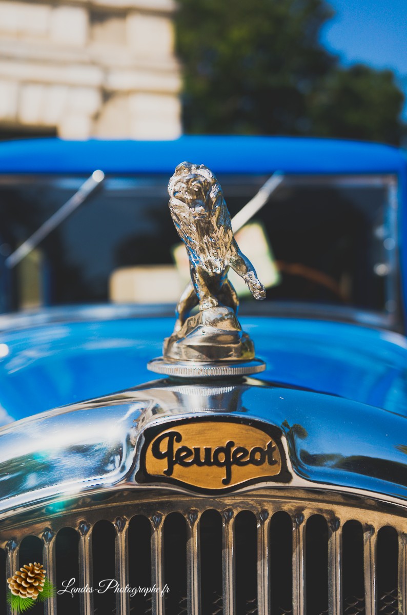 🚗 Car & Moto Addiction à Soustons : Le Charme Intemporel des Belles Anciennes